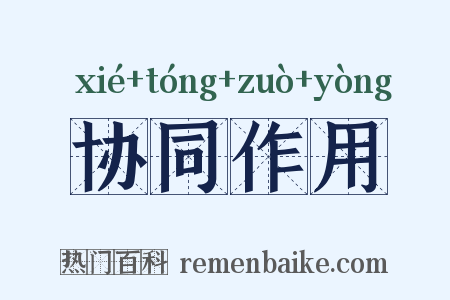 协同作用是什么意思的图片